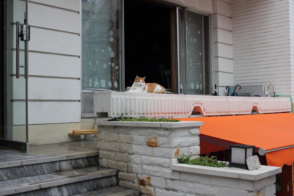 Hostel Hongdae Orange Seoul