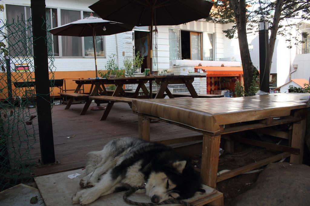 Hostel Hongdae Orange Seoul