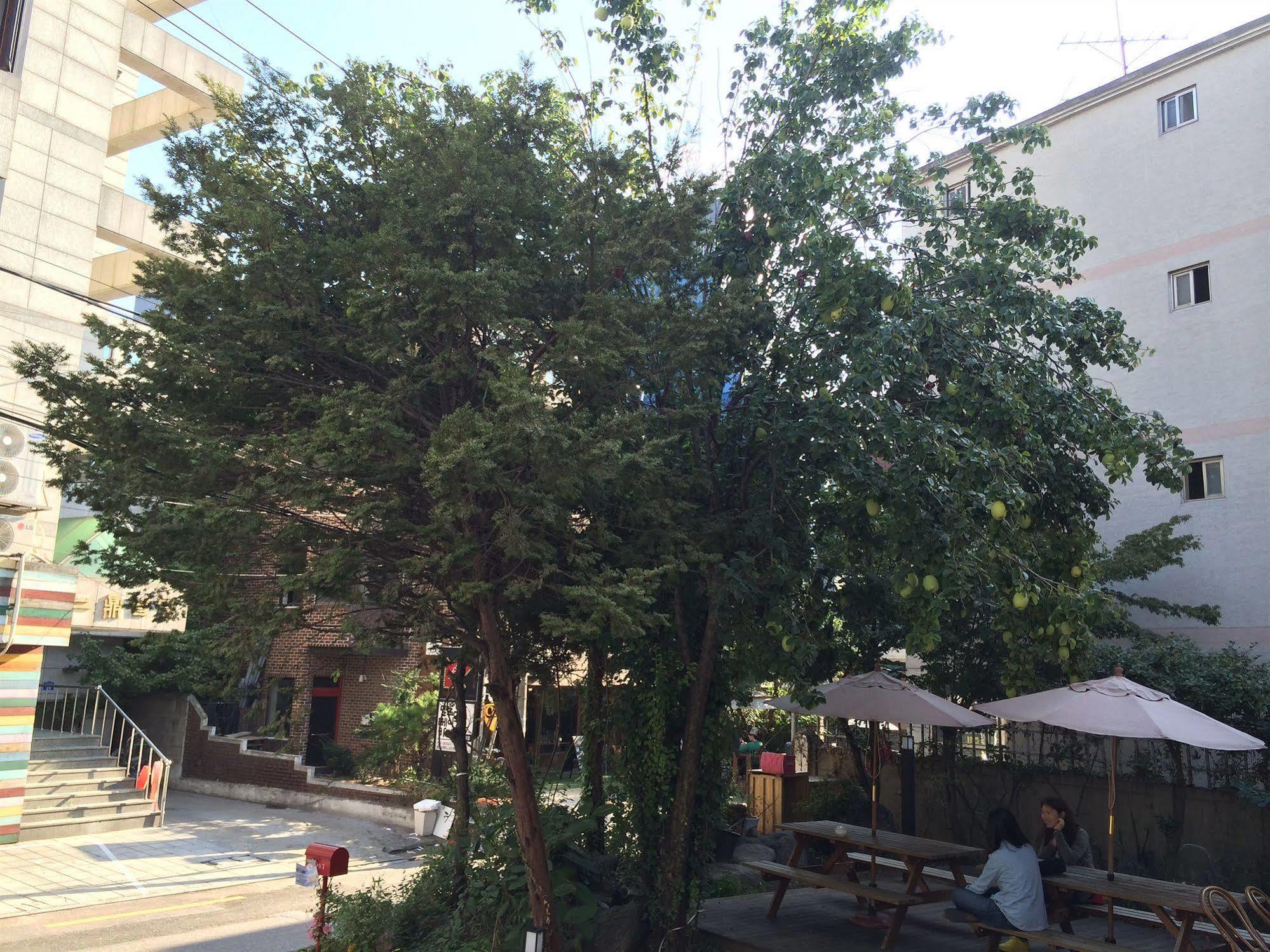 Hongdae Orange Hostel Seoul