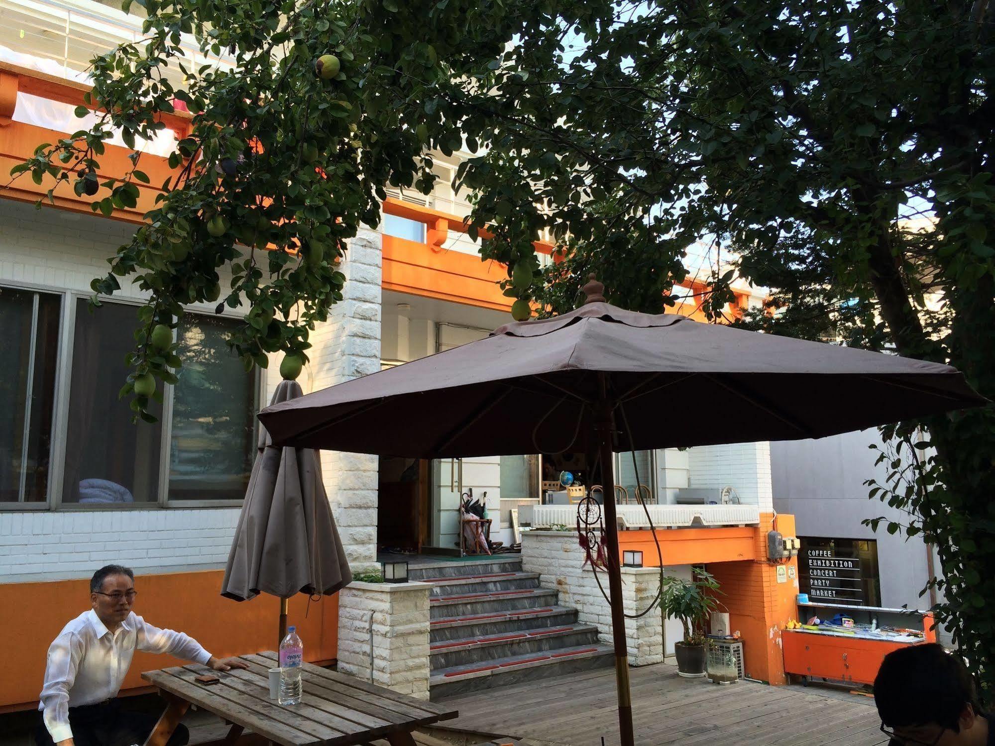 Hongdae Orange *